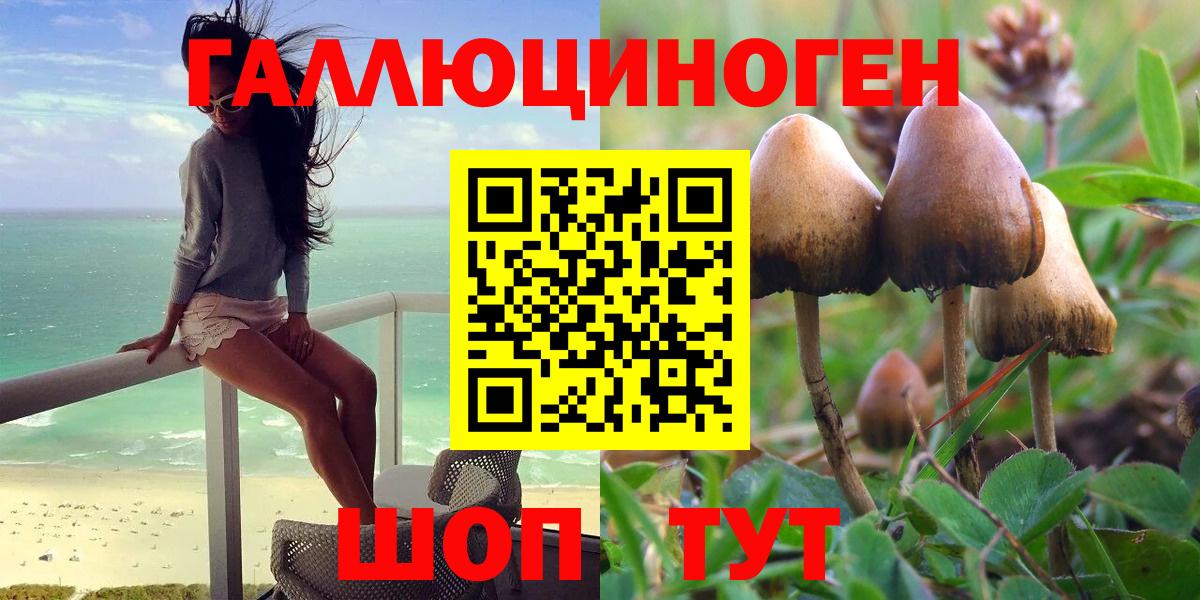 Псилоцибиновые грибы GOLDEN TEACHER Чистополь
