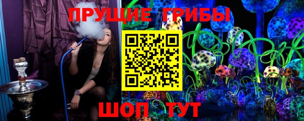 Чистополь  Галлюциногенные грибы Cubensis  Вход с VPN  Галлюциногенные грибы ЛСД 