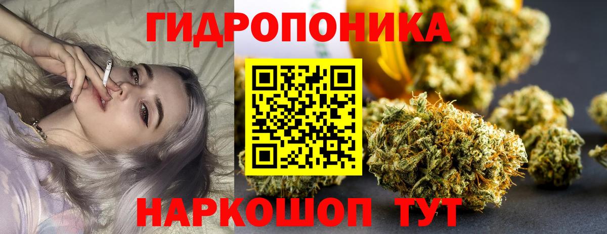 Шишки марихуана Bruce Banner  Бошки марихуана OG Kush  Конопля VHQ  Вход с VPN  Чистополь 